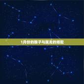 1月份的猴子与属龙的婚配，属猴子的人与属龙的人相配吗