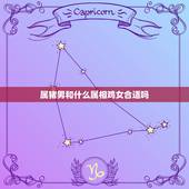 属猪男和什么属相鸡女合适吗，属鸡女和属猪男的适合做夫妻吗