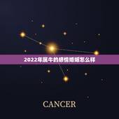 2022年属牛的感情婚姻怎么样，2022年属牛女全年运势