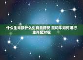 什么生肖跟什么生肖最搭配 鼠和牛如何进行生肖配对呢