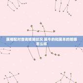 属相配对查询婚姻状况 属牛的和属羊的婚姻怎么样