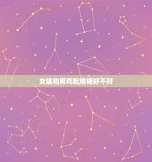 女鼠和男鸡配婚姻好不好，属鼠女嫁给属鸡男会幸福吗