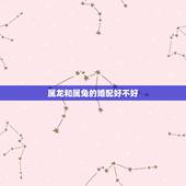 属龙和属兔的婚配好不好，属兔跟属龙的财运怎么样