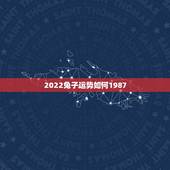 2022兔子运势如何1987，1987年属兔虎年运势