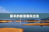 属羊的都是哪年出生，属狗的都是哪年出生的