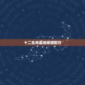 十二生肖最佳婚姻配对，12生肖排序婚配表