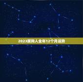 2023属狗人全年12个月运势(狗年旺运连连财富事业双丰收)