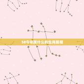 58今年属什么的生肖属相，1958年属什么生肖