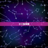 十二生肖图，十二生肖的图像