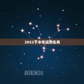 2022下半年运势生肖，2022年12生肖运势解析