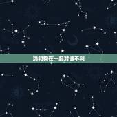 鸡和狗在一起对谁不利，生肖鸡养狗相冲怎麼化解