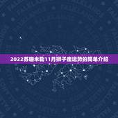 2022苏珊米勒11月狮子座运势的简单介绍