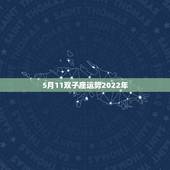5月11双子座运势2022年，双子座2022年的全年每月运势