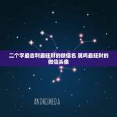 二个字最吉利最旺财的微信名 属鸡最旺财的微信头像