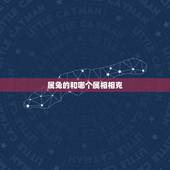 属兔的和哪个属相相克，属兔的和什么属像的工作相生相克