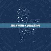 属兔男和属什么的最合适结婚，男属兔跟什么属相更好