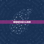 婚姻相合是什么意思，婚姻可合什么意思？