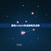 属狗人2022年运程每月运势，属狗人未来10年大运
