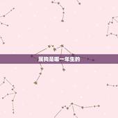 属狗是哪一年生的，2006年属狗五行缺什么
