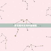 男石榴木女海中金婚配，石榴木命和海中金命婚姻？