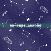 老托特辛勤是十二生肖那个属相，十二生肖中最老的生肖是哪一个？
