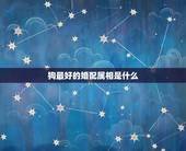 狗最好的婚配属相是什么，属狗婚配和什么属相合适