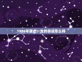 1986年属虎一生的命运怎么样，86年属虎的是什么命