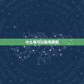 什么龟可以镇宅辟邪，镇宅养什么龟