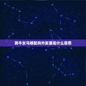 男牛女马婚配向外发展是什么意思，属牛男和属马女婚配，求解