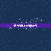 属狗与属龙的婚配如何，属龙的和属狗的配吗？