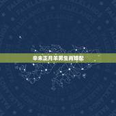 辛未正月羊男生肖婚配，1991年属羊男孩要配哪个属相合婚呢？
