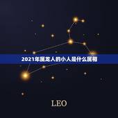 2021年属龙人的小人是什么属相，2021年生肖龙的全年运势