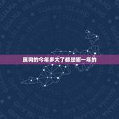 属狗的今年多大了都是哪一年的，属狗的今年多大70生
