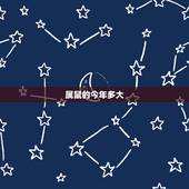 属鼠的今年多大 生肖属鼠人的性格特质