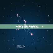 1999年属兔男生婚配，男兔1999年出生的婚姻