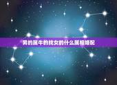 男的属牛的找女的什么属相婚配，属牛男和什么属相婚配克夫