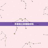 木命和土命婚配好吗，89年属蛇木命和91年属羊土命的女，在一起结婚好吗