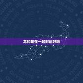 龙和蛇在一起财运好吗，龙和兔在一起财运好吗