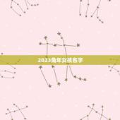 2023兔年女孩名字(兔年女孩取名灵感)