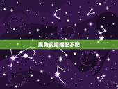 属兔的婚姻配不配，属兔跟属蛇婚姻相配吗