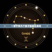 一辈子有几个孩子能算出来吗，我想算下我一生中有几个孩子？