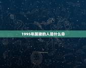 1995年属猪的人是什么命，95年属猪的是什么命