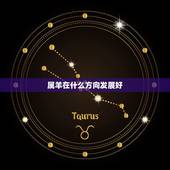 属羊在什么方向发展好，2003年属羊的学业运程