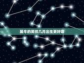 属牛的男孩几月出生更好命，2022 年属牛是什么命