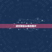 适合微信头像的图片，适合当微信头像图片都有哪些图片