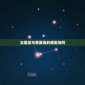 女属龙与男属兔的婚配如何，属相婚配：男属兔和女属龙相配吗