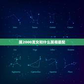 属2000龙女和什么属相最配，属龙的和什么属相最配