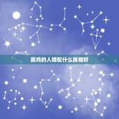 属鸡的人婚配什么属相好，男子属鸡的人和什么属相婚配最佳