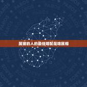 属猪的人的最佳婚配是啥属相，属猪的和什么属相的人相配？