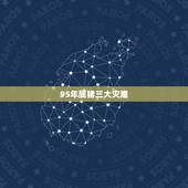 95年属猪三大灾难，属猪女几月出生最旺夫